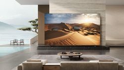 TCL 115 X955 male