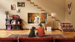 TCL NXTFRAME A300 male