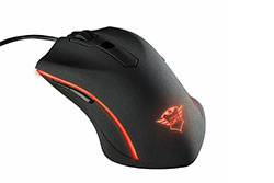 TZ Trust GXT177 HWForum