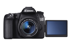 Canon EOS 70D 1327