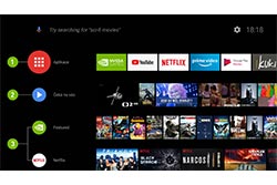 TZ NVIDIA SHIELD 7 HWForum