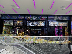 IMG 250px