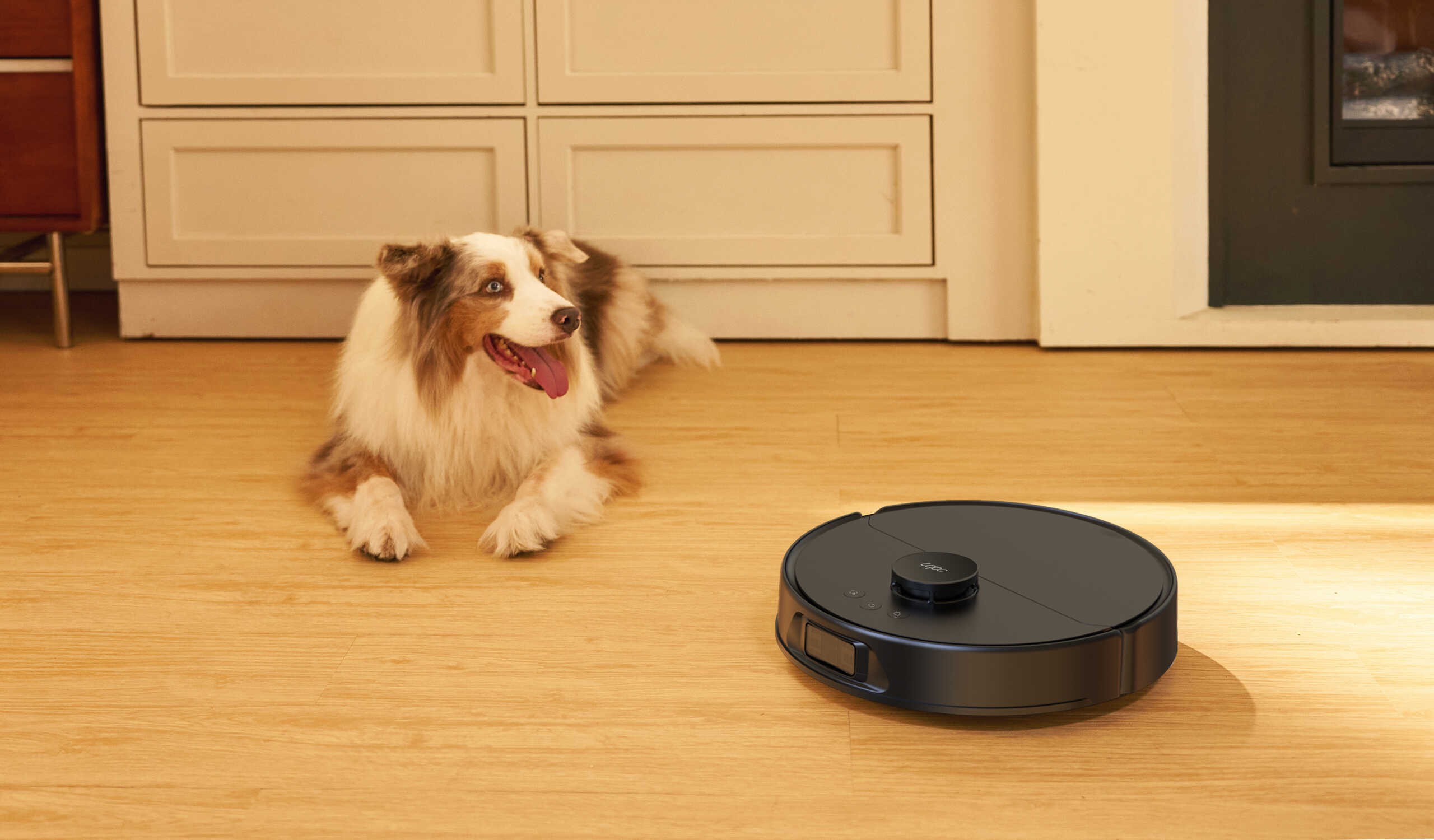 tapo-rv50-pro-omni picture lifestyle 02